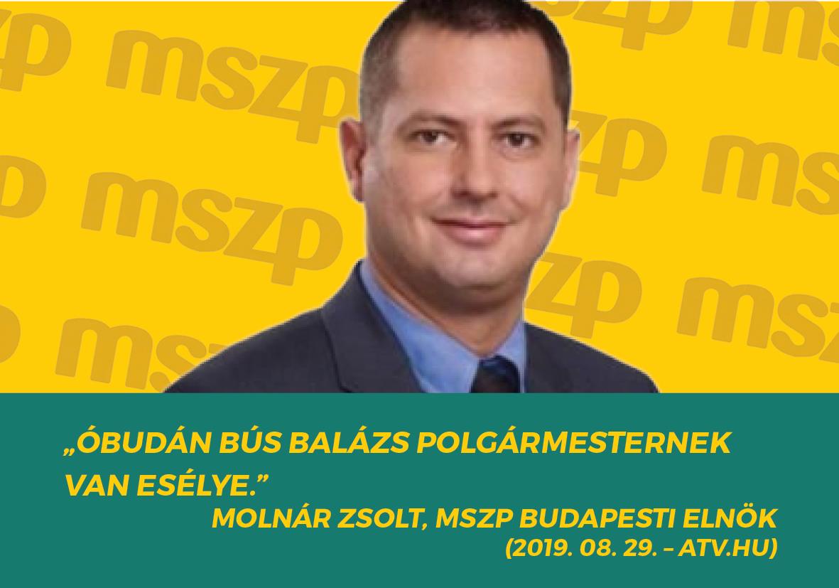 bus_balazs